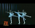 Die einzige Bolshoi Schule außern Russland liegt in Joinville Südbrasilien